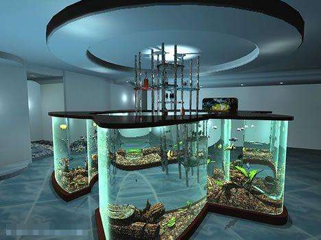 魚缸案例