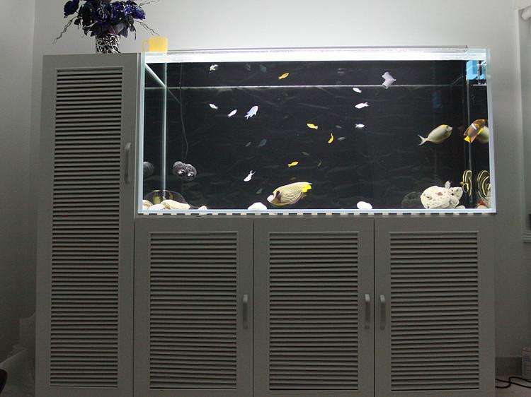 魚缸定制